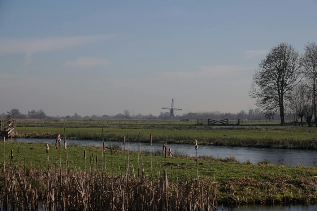 pexels-patrick-droog-809423147-30519576